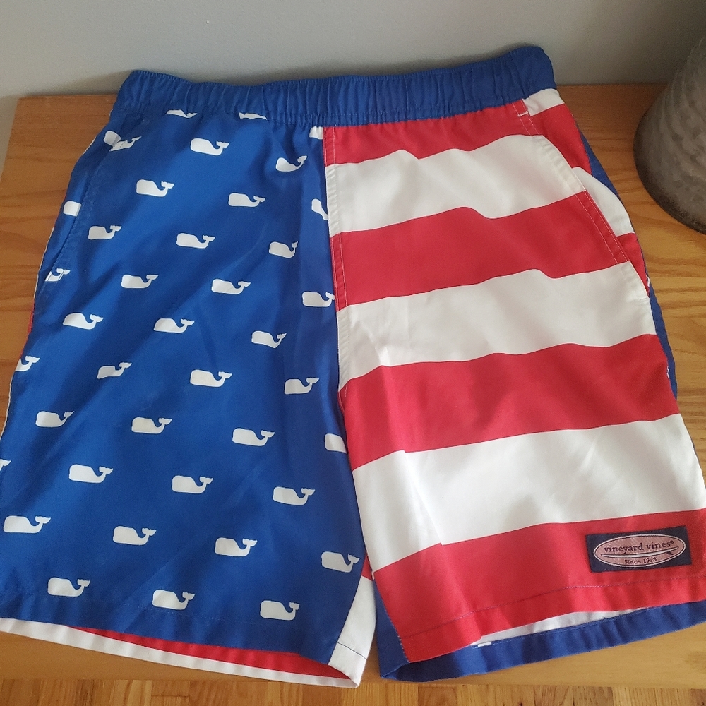 Vinyard vines boys chappy swim trunks